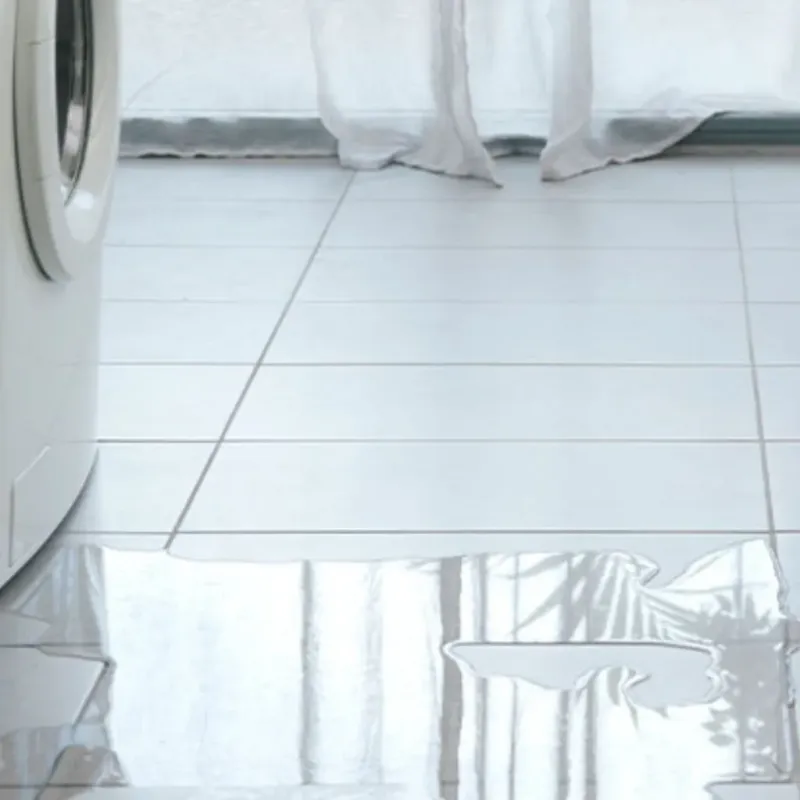 Appliance Leak Cleanup in Wautoma, WI