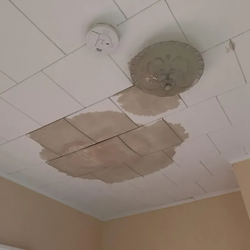Ceiling Water Damage Repair in Wautoma, WI