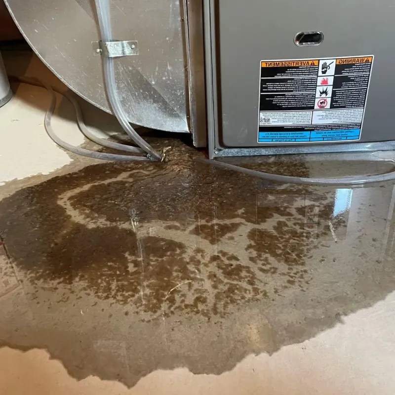 Pipe Burst and Leak Restoration in Wautoma, WI