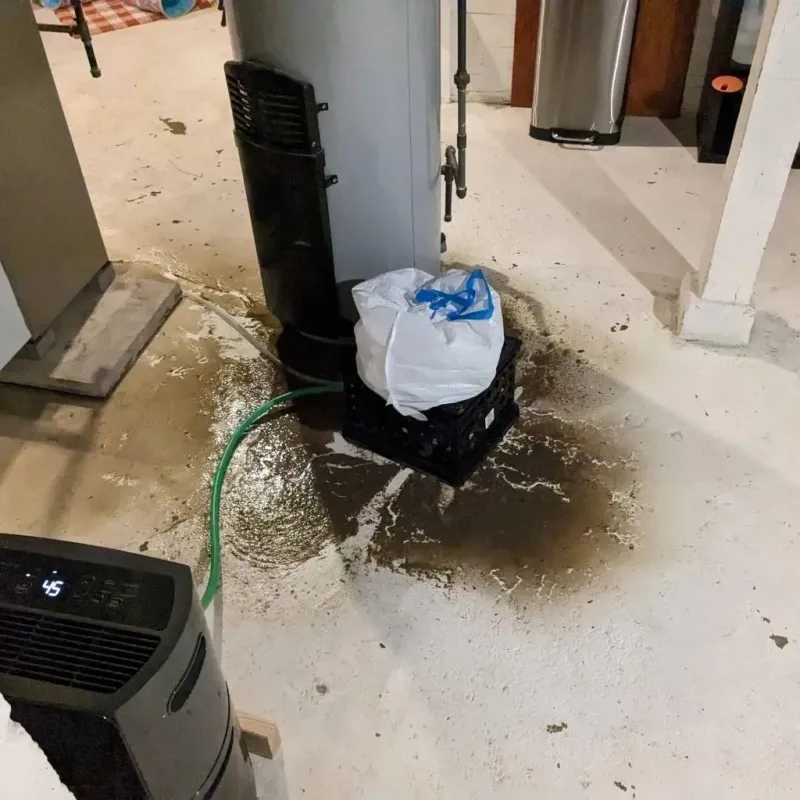 Sewage Backup Cleanup Service in Wautoma, WI
